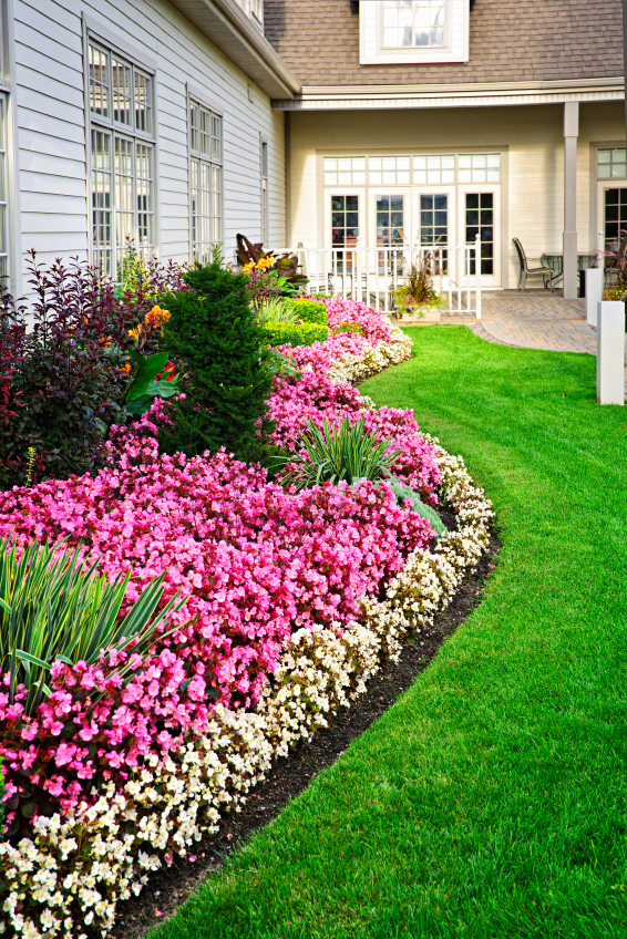 Colorful flower garden