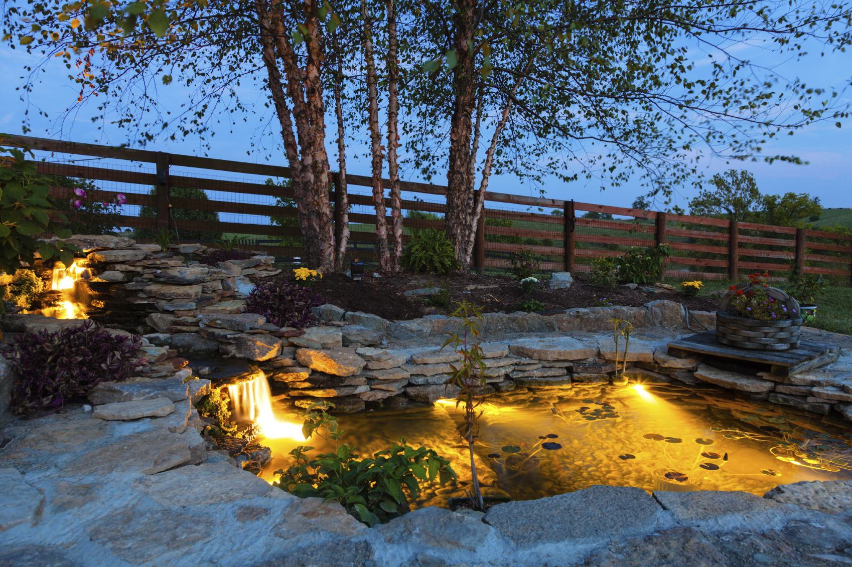 Garden pond