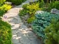 Garden path with stone landscaping